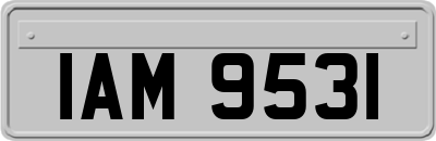 IAM9531