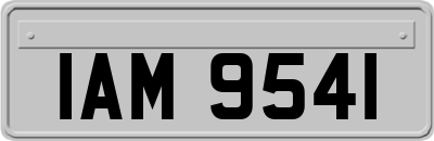 IAM9541