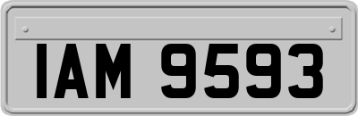 IAM9593