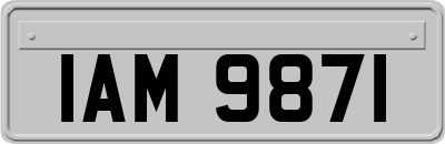 IAM9871