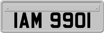 IAM9901
