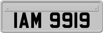 IAM9919