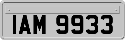 IAM9933