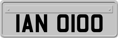 IAN0100