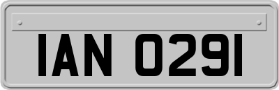 IAN0291