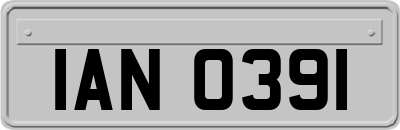 IAN0391