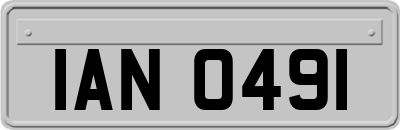 IAN0491