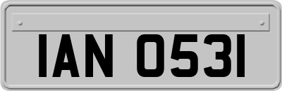 IAN0531