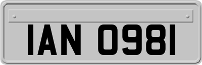 IAN0981