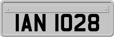 IAN1028