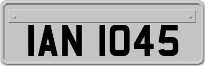 IAN1045