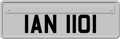 IAN1101