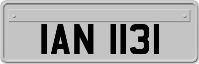 IAN1131
