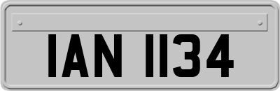 IAN1134