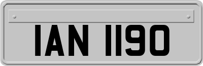 IAN1190