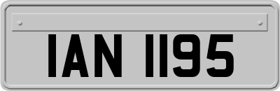 IAN1195
