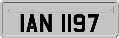 IAN1197