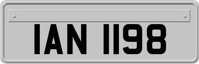 IAN1198