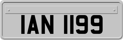 IAN1199