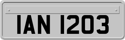IAN1203