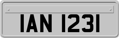 IAN1231