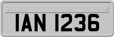 IAN1236