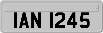 IAN1245