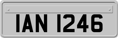 IAN1246