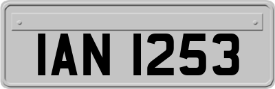IAN1253