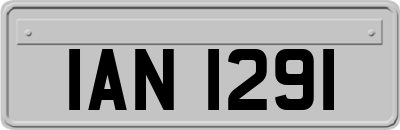 IAN1291