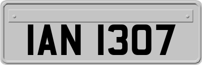 IAN1307