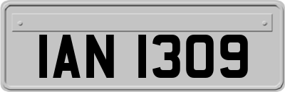 IAN1309