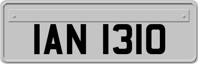 IAN1310