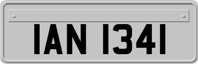 IAN1341