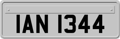 IAN1344