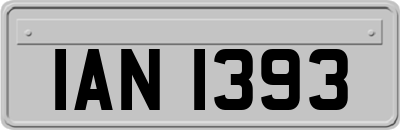 IAN1393