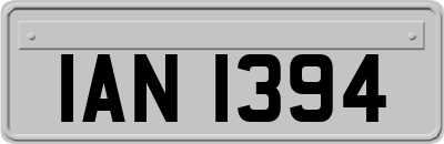IAN1394