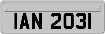 IAN2031