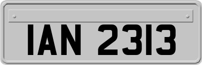 IAN2313