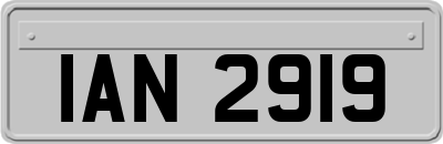 IAN2919