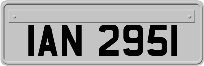 IAN2951