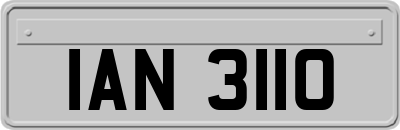 IAN3110