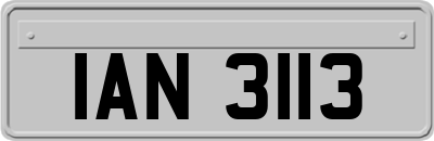 IAN3113