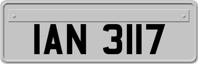IAN3117