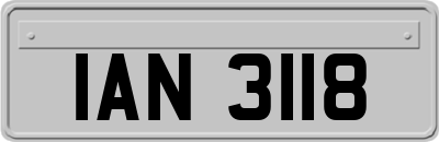 IAN3118