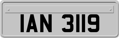 IAN3119