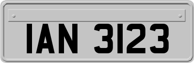 IAN3123