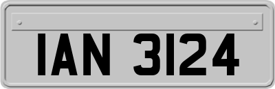 IAN3124