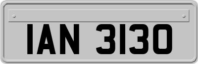 IAN3130