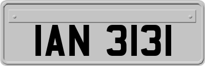 IAN3131